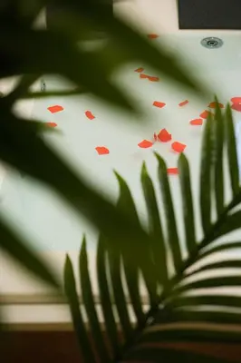 Planimetria di Attimo d'amore