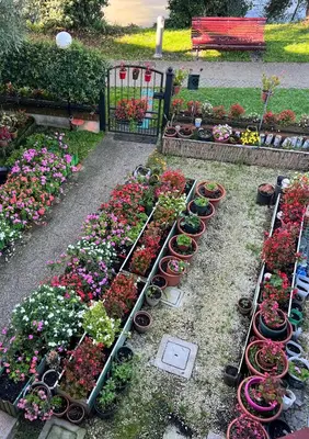 Giardino di 4Venice Malcontenta