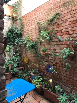 Giardino di Appartamento veneziano piano terra