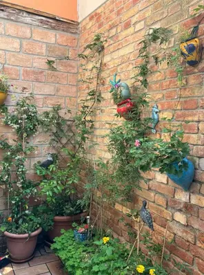 Giardino di Appartamento veneziano piano terra