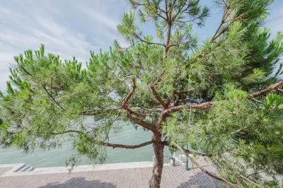 Paesaggio naturale nelle vicinanze dell'appartamento