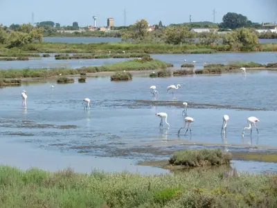 Paesaggio naturale nelle vicinanze dell'appartamento
