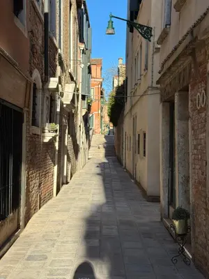 Il quartiere o una zona nella vicinanze dell'ostello