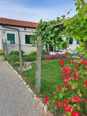 Giardino di a casa di nonna Tarsilla-entire apartment,5 guests