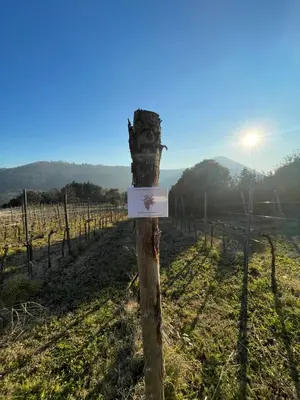 Paesaggio naturale nelle vicinanze dell'agriturismo