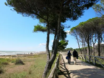Paesaggio naturale nelle vicinanze dell'appartamento