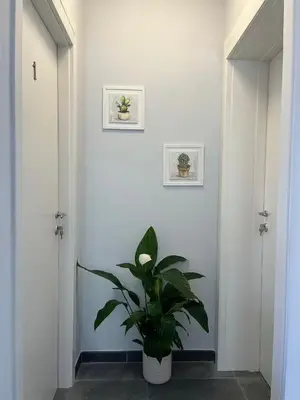 Planimetria di James Home