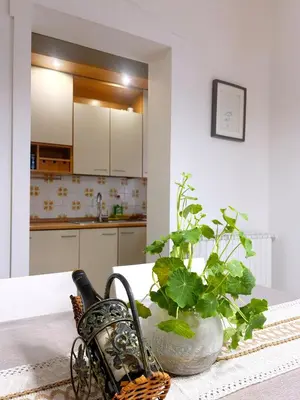 Cucina o angolo cottura di Terra Apartment Venice Mestre