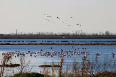 Paesaggio naturale nelle vicinanze dell'appartamento