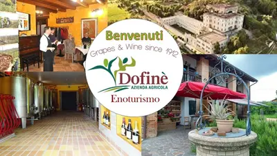 Planimetria di Enoturismo Dofinè