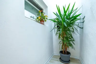 Planimetria di Casa Busato - P1