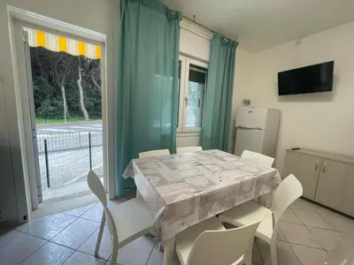 TV o dispositivi per l'intrattenimento presso Comfortable flat with private garden in Rosolina