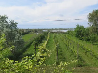 Paesaggio naturale nelle vicinanze dell'appartamento