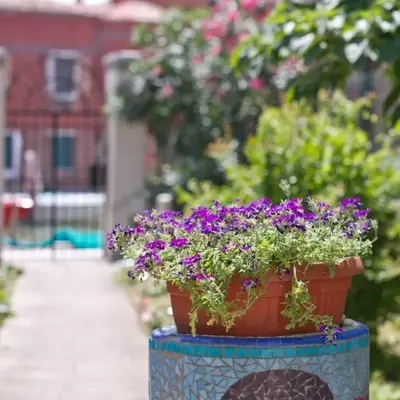 Ca' Del Pomo Grana'