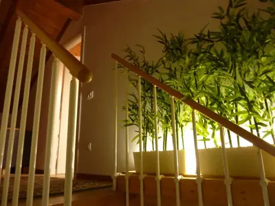 Planimetria di Casa Yami