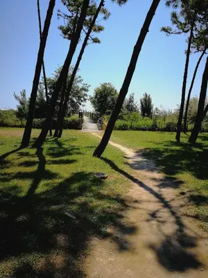 Paesaggio naturale nelle vicinanze dell'appartamento
