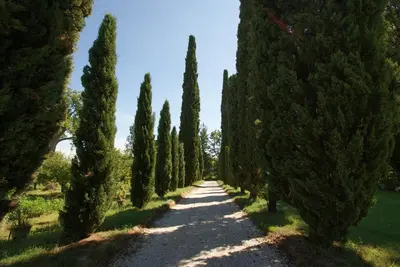 Planimetria di Villa Ghislanzoni