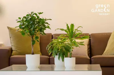 Area soggiorno di GREEN GARDEN Resort - Smart Hotel