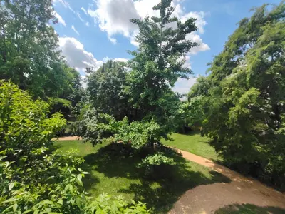 Paesaggio naturale nelle vicinanze della villa