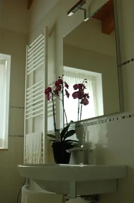 Bagno di Quirinus Venetia Properties