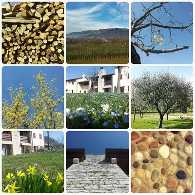 Planimetria di B&B Santa Fosca