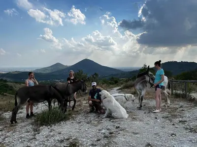 Altri animali domestici presso la casa vacanze o nei dintorni