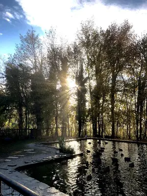 Paesaggio naturale nelle vicinanze dell'appartamento