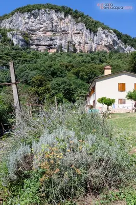 Paesaggio naturale nelle vicinanze del bed & breakfast