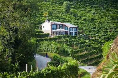 Paesaggio naturale nelle vicinanze dell'agriturismo