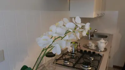 Cucina o angolo cottura di Casa delle Ortensie
