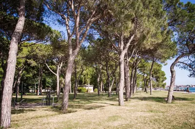 Paesaggio naturale nelle vicinanze dell'appartamento