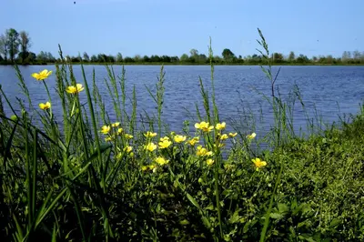 Paesaggio naturale nelle vicinanze dell'appartamento