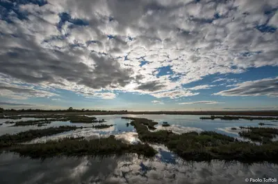 Paesaggio naturale nelle vicinanze dell'aparthotel