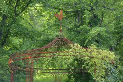 Giardino di The Music Country House con Jacuzzi nel parco - Natura e relax sui Colli Asolani