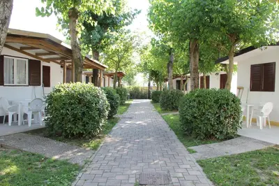 Il quartiere o una zona nella vicinanze del campeggio