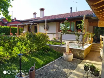 Giardino di i mirtilli