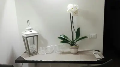 Planimetria di homesweethome venice