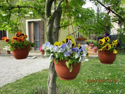 Giardino di La Corte Di Ottorina