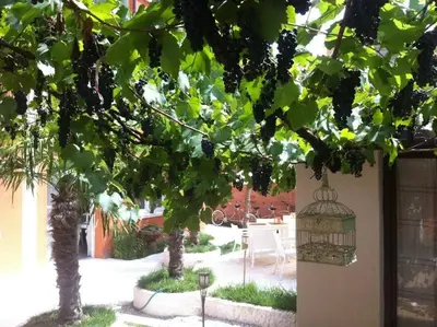 Giardino di Hotel La Pergola di Venezia