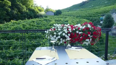 Paesaggio naturale nelle vicinanze dell'agriturismo