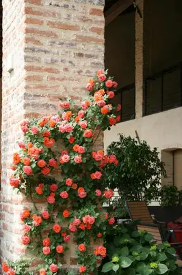 Giardino di LE TRE ARTI B&B