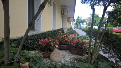 Giardino di Hotel Terme Belvedere