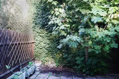 Giardino di La Maisonette et son Jardin