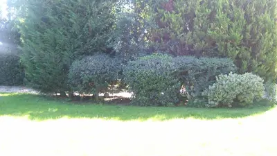 Giardino di Locanda Canareggio