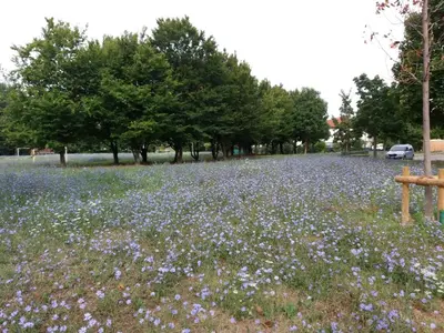 Giardino di Bed and Breakfast Bio Salix
