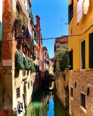 Vista sul fiume nelle vicinanze dell'appartamento