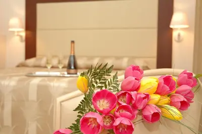 Planimetria di Hotel Lugano Torretta