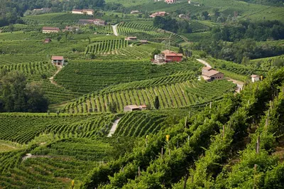 Paesaggio naturale nelle vicinanze del bed & breakfast