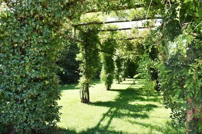 Giardino di Venicegreen Agriresort