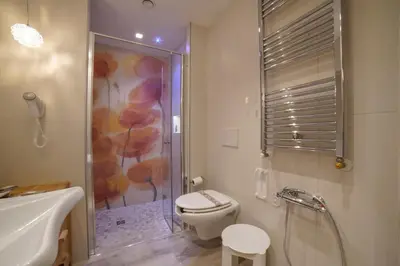 Bagno di The Green Park Hotel WellnessSpa & Restaurant